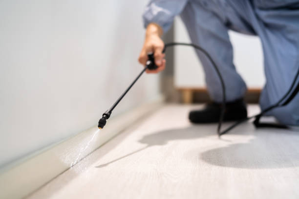 Licensed Termite Control service in West Carson, CA - Nex Pest Control