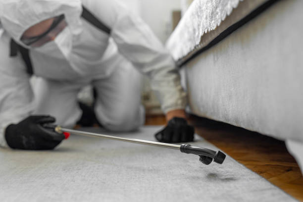 Professional Termite Control technician working in West Carson, CA