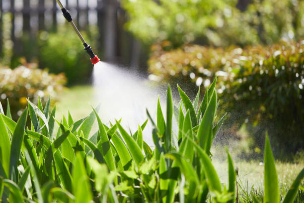 24/7 Emergency Termite Control experts in West Carson, CA