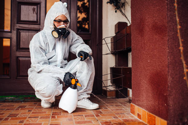 Reliable Termite Control contractor in West Carson, CA by Nex Pest Control