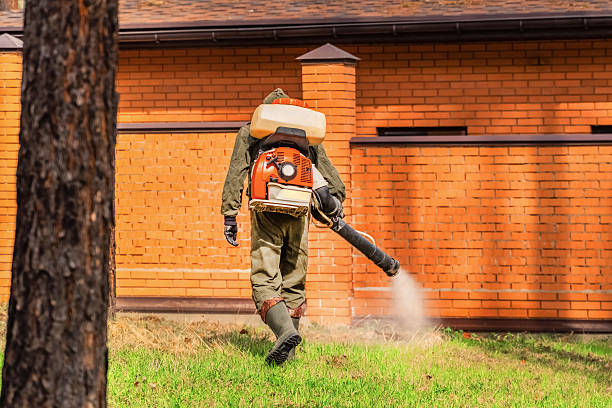 Top rated local Termite Control specialists in West Carson, CA